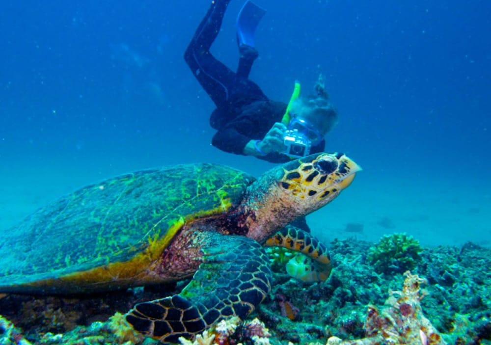 Oyo 2861 Hotel Gili Air & Restaurant Εξωτερικό φωτογραφία